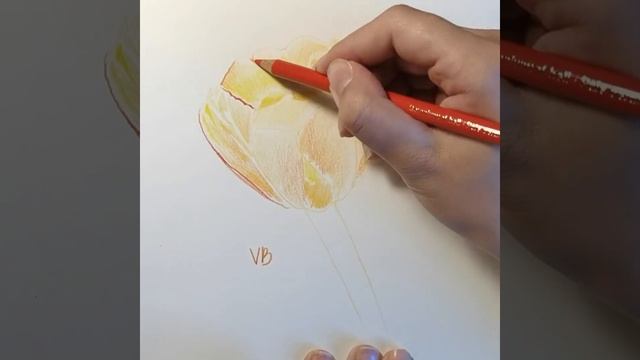 Желтый тюльпан на солнце || Sketching смотреть онлайн