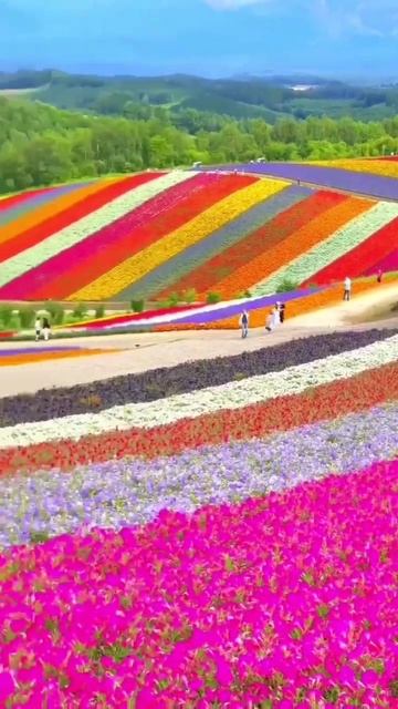 shorts the most beautiful places самый красивый места #shorts смотреть онлайн