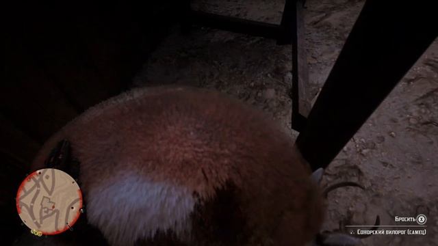 Амулет из панциря черепахи за Артура, во 2 главе в Нью Остин с выходом за карту #rdr2 #arthurmorgan