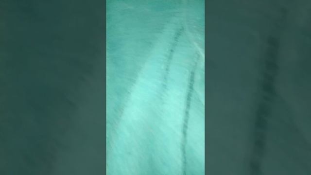 я строил этот жом гдето минут 40,50. смотреть онлайн