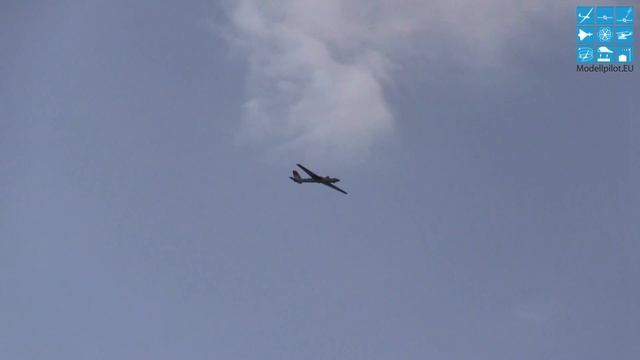 2X PINOCCHIO GIGANTIC WINGSPANS AEROBATIC AIRSHOW FLIGHT RC GLIDERS MORE THAN SCALE COMPOSITE смотреть онлайн