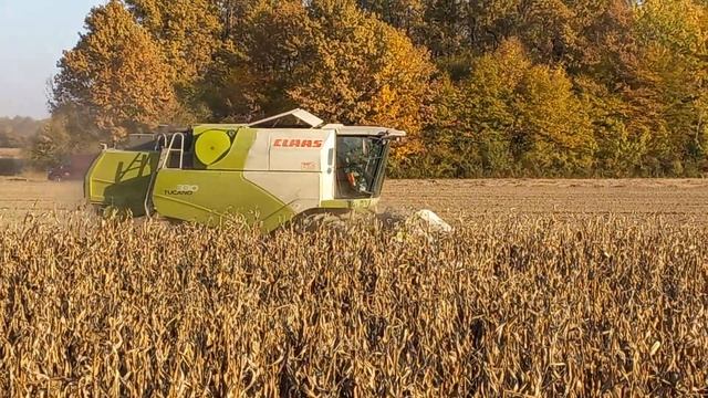 Claas Tucano 330 смотреть онлайн