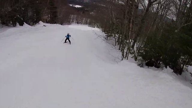 AJ Run - 2/28/2021 - Mt. Snow, Ledge to Pats Pitch смотреть онлайн