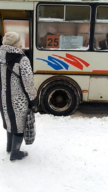 новая модель паза. Паз Шкода😂😂 смотреть онлайн