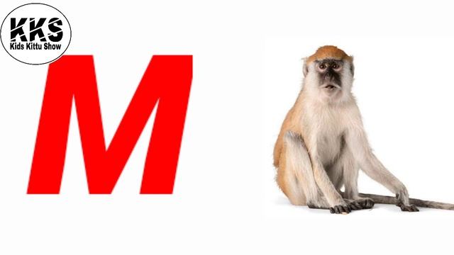 ABCD English Alphabet एबीसीडी अंग्रेजी वर्णमाला смотреть онлайн