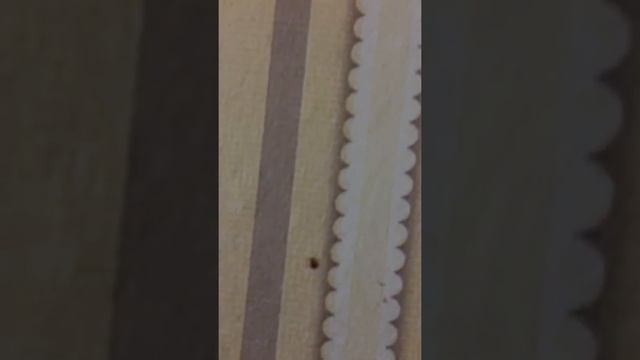 18 февраля 2020 г. смотреть онлайн