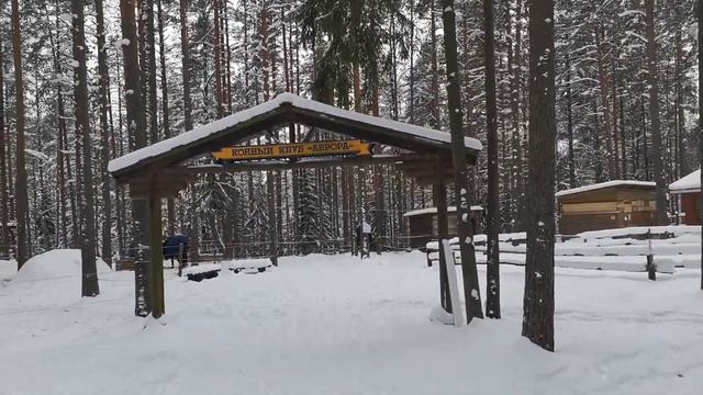 19 марта 2021 г. смотреть онлайн