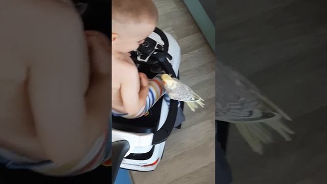корелла и ребёнок смотреть онлайн