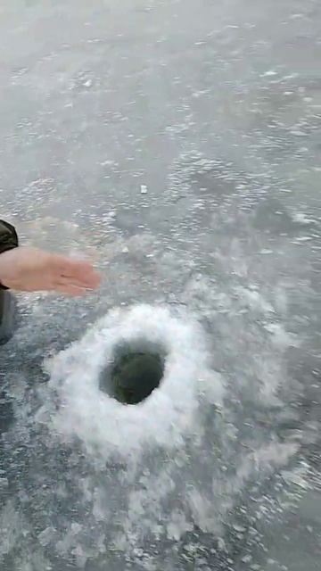безмотылка смотреть онлайн