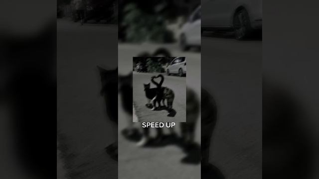 дельфин - любовь (speed up) смотреть онлайн