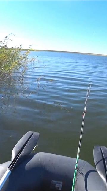 Аж лодку потащил - Вот это Окунь смотреть онлайн