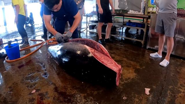 Bluefin tuna over 500 kg decomposed under powerful knife skills смотреть онлайн