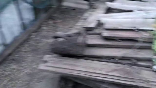 @0242 Высаживаю саженцы смородины, ежевики и винограда. смотреть онлайн