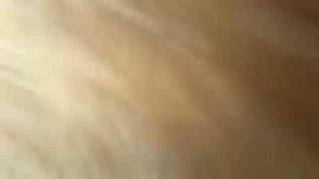 27.05.2020. Our goose tula is also a mother today. смотреть онлайн