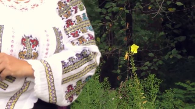 Doina Badea Nu mor cainii cand vor caii смотреть онлайн