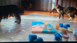 А   ну ка    давайка