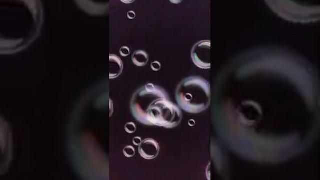 Jezi Kenbem Poum Pa febli смотреть онлайн