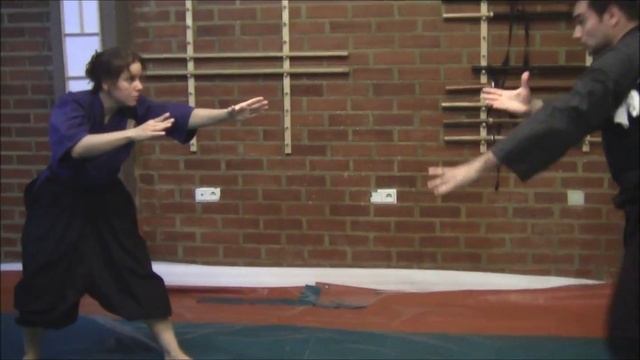 Ogawa Ryu Jujutsu - August training moments in Valencia - Spain смотреть онлайн