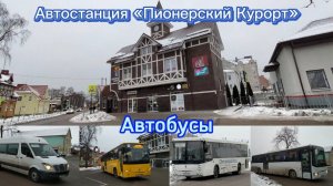 Жизнь автостанции «Пионерский Курорт». Автобусы разных направлений