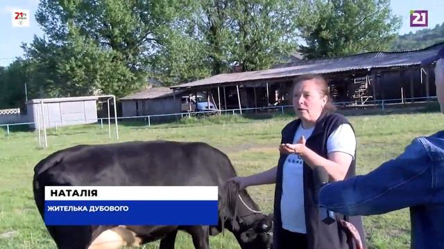 Стан стадіону в Дубовому смотреть онлайн