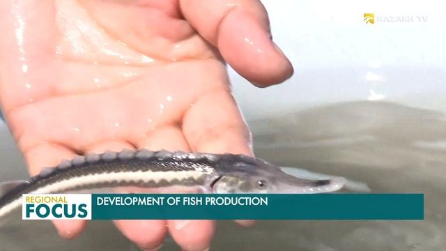 Development of fish production in Kazakhstan смотреть онлайн