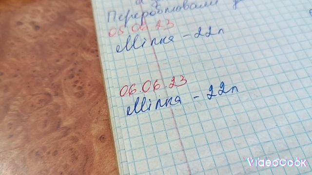 06.06.2023. Робочі моменти...показуємо правду, а не красиву картинку.... смотреть онлайн