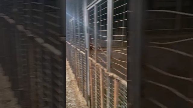 8 января 2024 г. смотреть онлайн