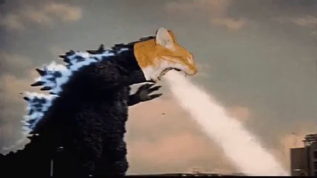 Психоделические котики