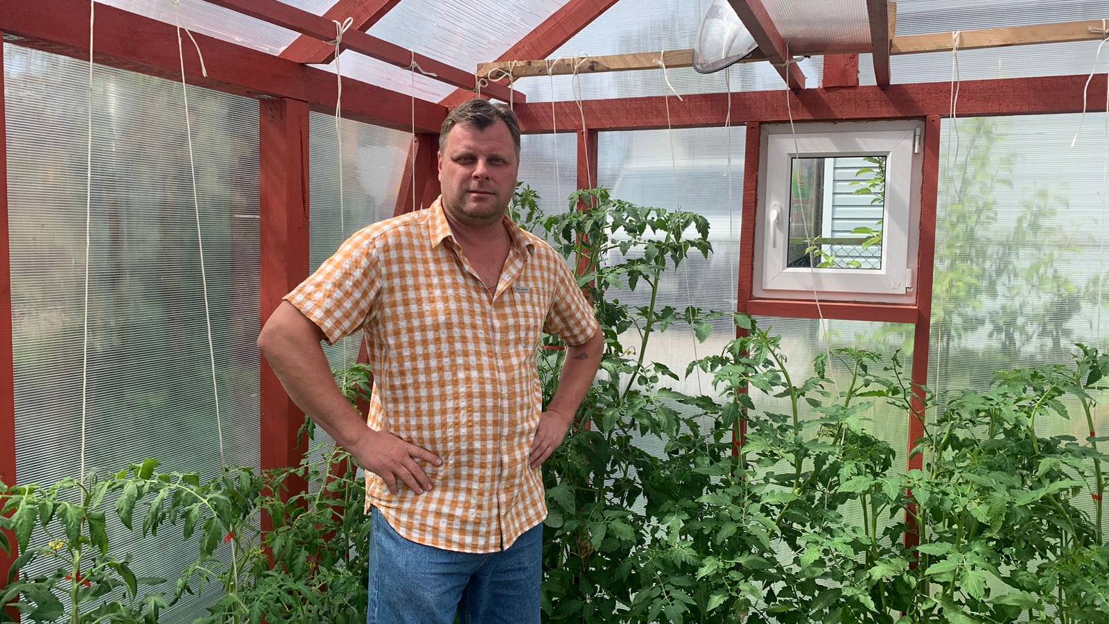 Теплица из массива своими руками Пошаговая инструкция На века!