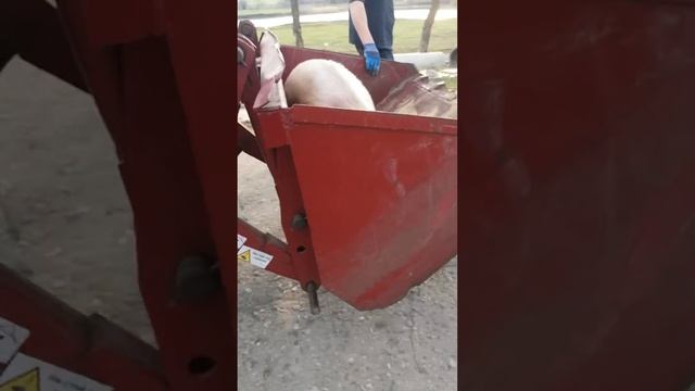 Перевозчик 3 смотреть онлайн