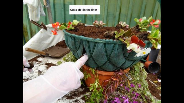 16" Wire Hanging basket demonstration. Masterclass slideshow смотреть онлайн