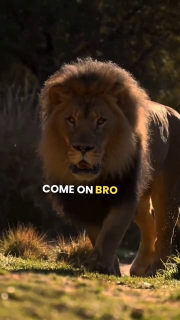 Sigma Rule 🔥 Take Back Your Control 🔥#shorts #motivation #success #quotes смотреть онлайн