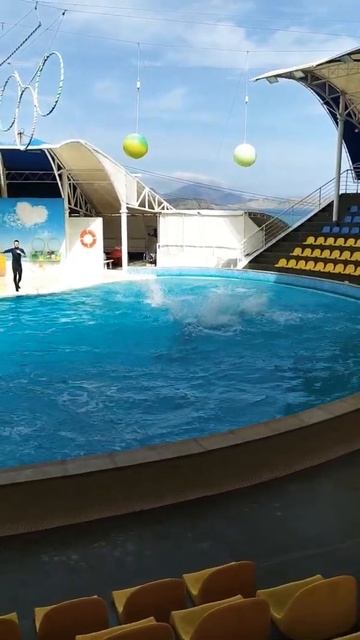 Коктебель Дельфинарий смотреть онлайн