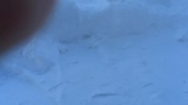 после бини в -32*C смотреть онлайн