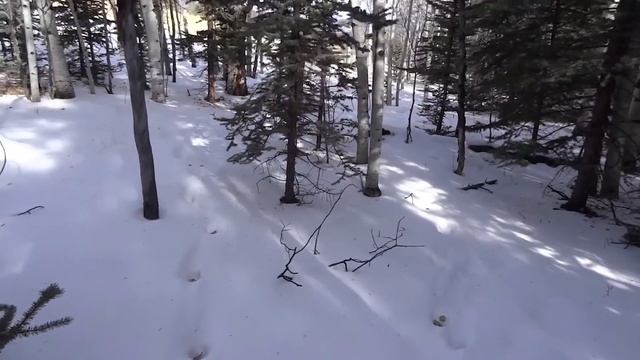 Trail Cam Browning® Recon Force Platinum- Our Journey :: Episode #6 смотреть онлайн
