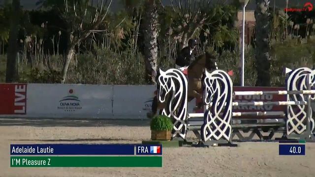 Hauri Sportpferde : I'M Pleasure Z - Oliva 2023