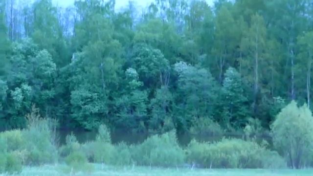 ФОТО СОКОЛОВО 10 смотреть онлайн