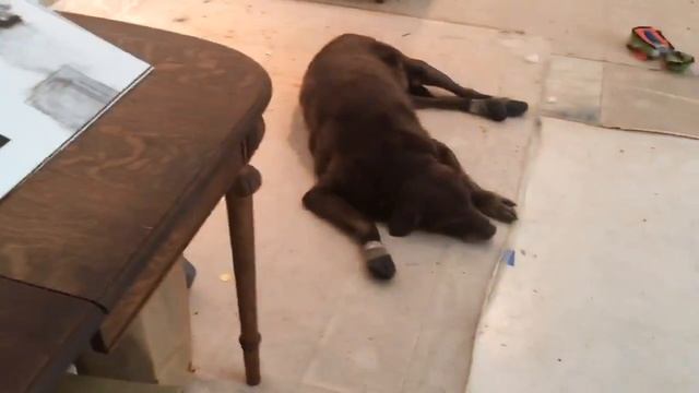 A Look Inside Rocío Rodríguez's Atlanta Studio смотреть онлайн