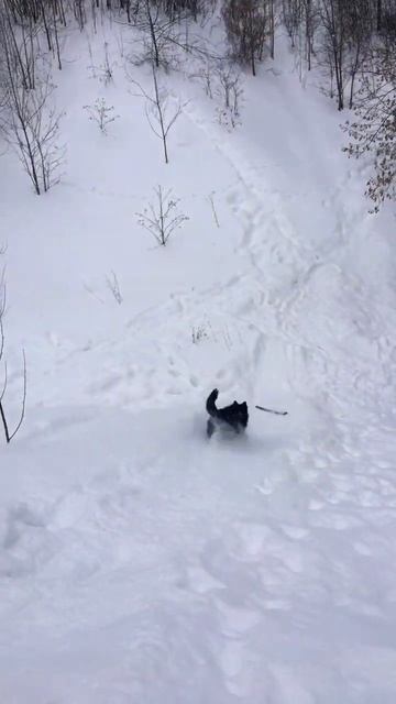 3 февраля 2024 г. смотреть онлайн