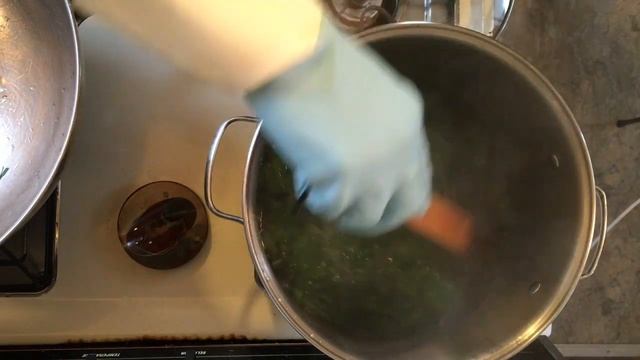 How to prepare stinging nettles смотреть онлайн