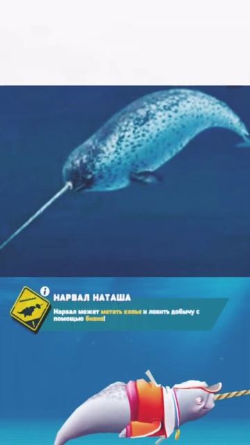 hungry sharks in real life ( все части ) смотреть онлайн