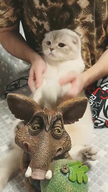 Барабанная дробь смотреть онлайн