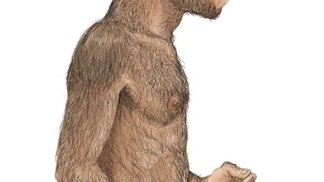 The Shocking Truth About Our Prehistoric Past смотреть онлайн