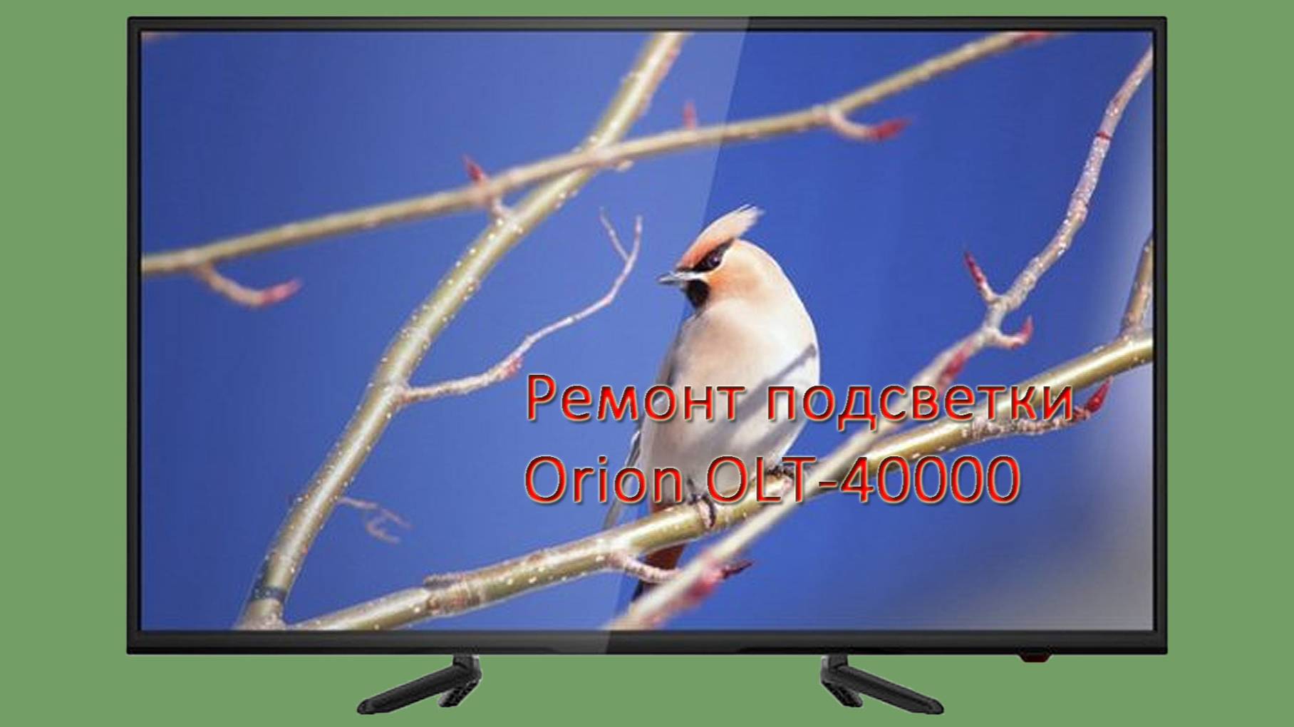 Ремонт подсветки телевизора Orion OLT 40000