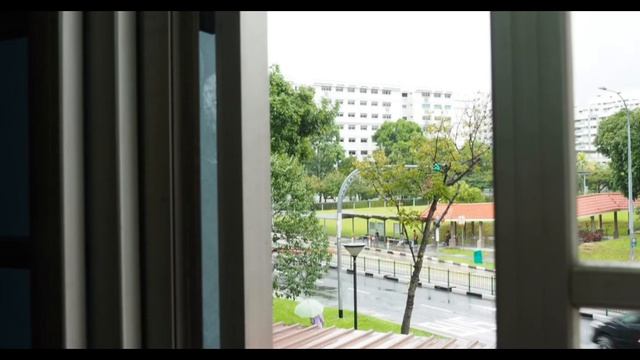 Olympus Em1 Iii With 14-150mm F4-5.6 II Lens - Minimalist Best Combo?