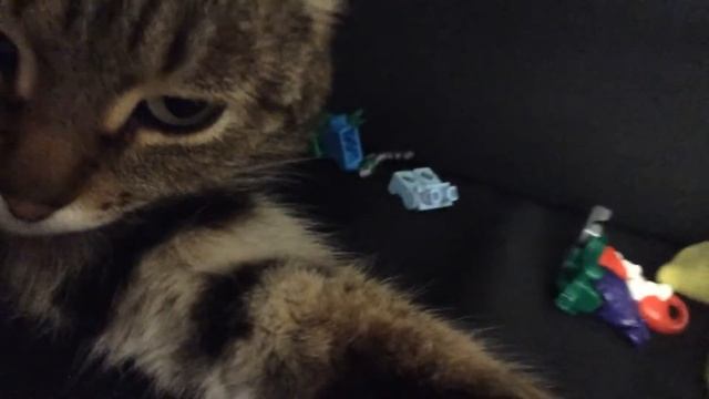 ДАЙ КИТИКЕТ смотреть онлайн