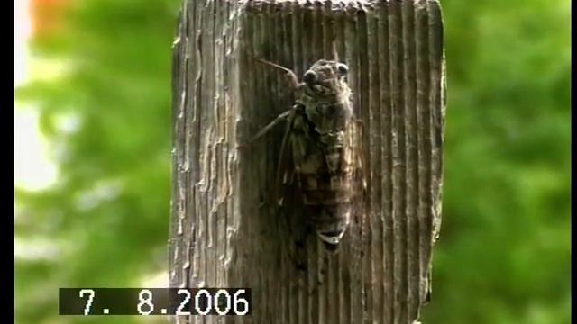 VTS 01 5 смотреть онлайн