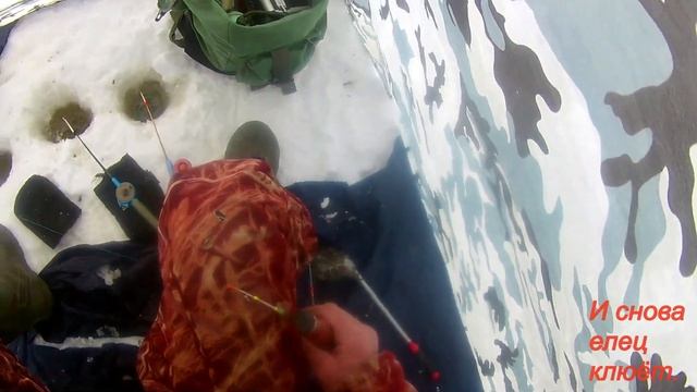 По быстрому за ельцом на Вычегду. смотреть онлайн