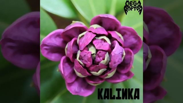 Kalinka смотреть онлайн