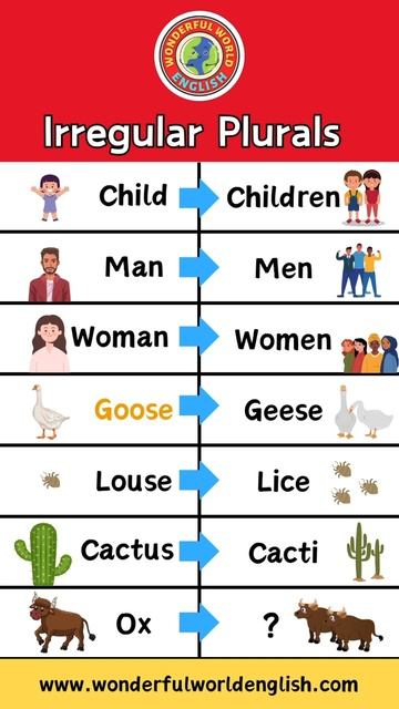 Irregular Plurals | English Lesson смотреть онлайн